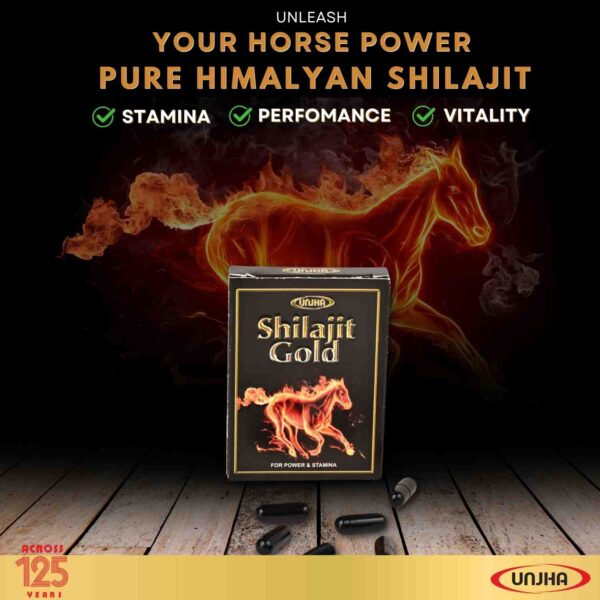 Unjha Pharmacy - Shilajit Gold