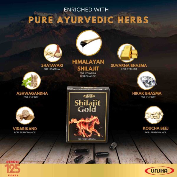 Unjha Pharmacy - Shilajit Gold